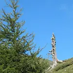 图斯特公寓 *
