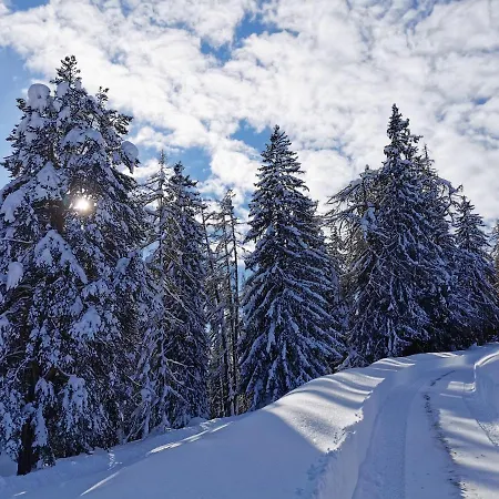Ferienhaeuser Troester Bad Kleinkirchheim