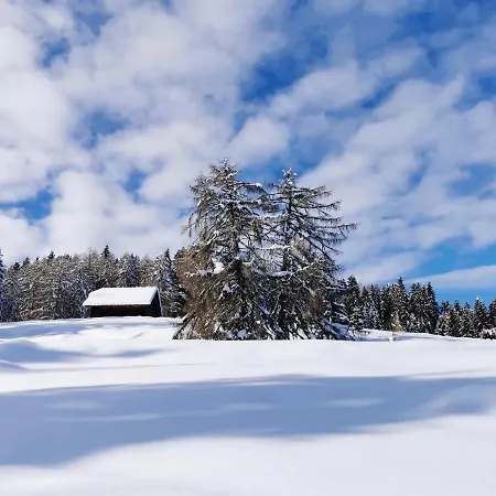 Ferienhaeuser Troester Daire