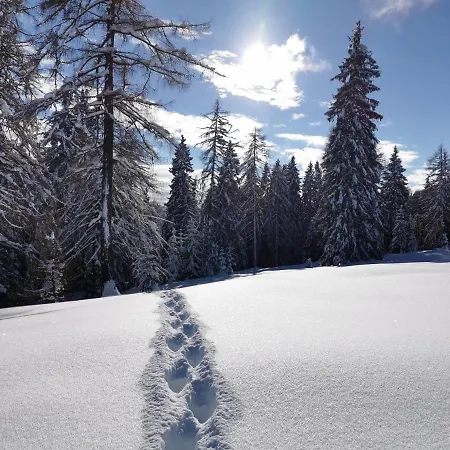 Ferienhaeuser Troester Daire Bad Kleinkirchheim