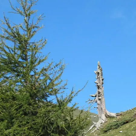 Ferienhaeuser Troester *