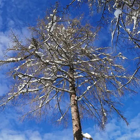Ferienhaeuser Troester Apartman *