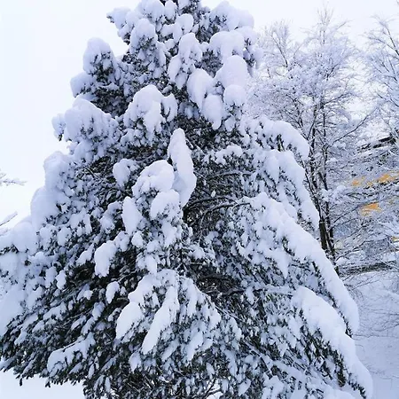 Daire Ferienhaeuser Troester Bad Kleinkirchheim