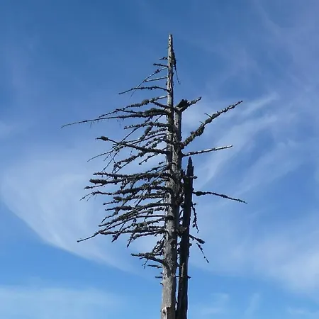 Ferienhaeuser Troester Appartamento Bad Kleinkirchheim