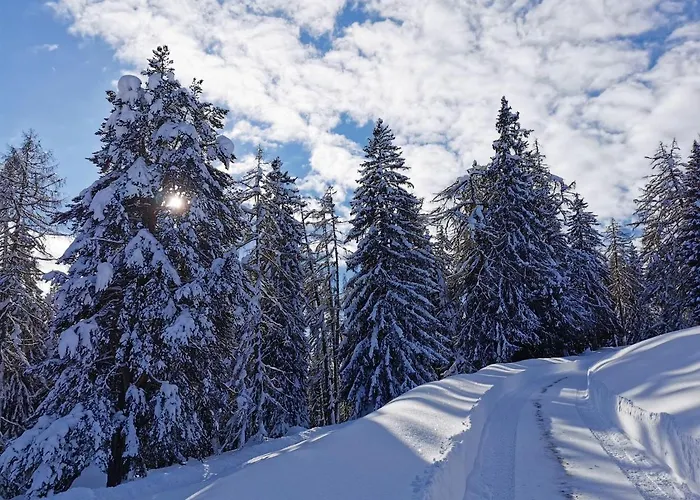 Ferienhaeuser Troester Bad Kleinkirchheim