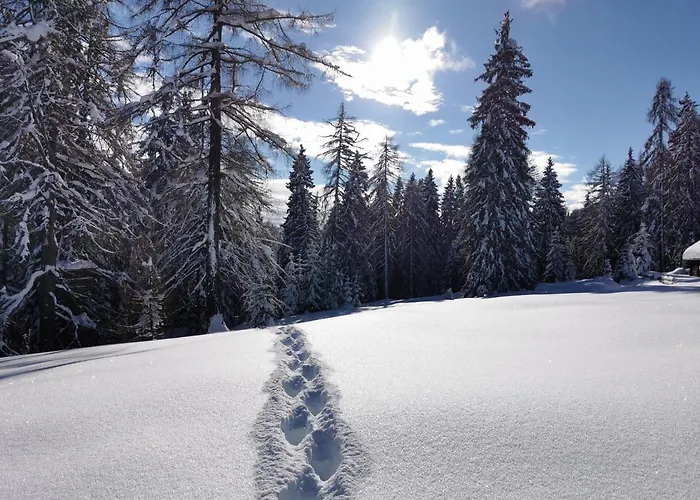 Ferienhaeuser Troester Apartament Bad Kleinkirchheim