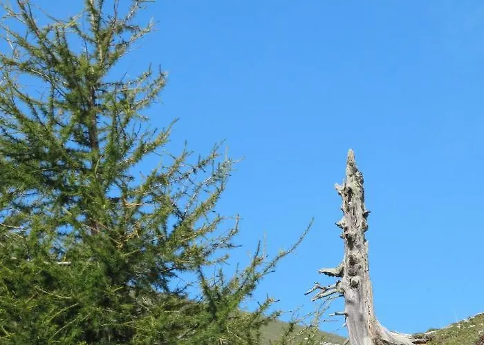 Ferienhaeuser Troester *