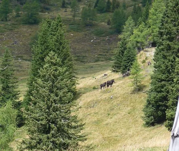 Ferienhaeuser Troester דירה *