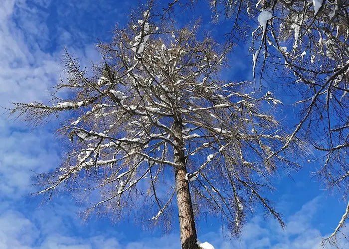 Ferienhaeuser Troester Apartament *