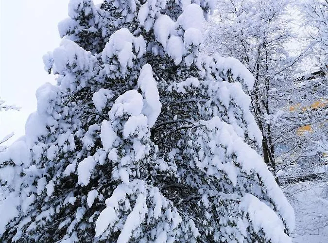 דירה Ferienhaeuser Troester באד קליניקירשהיים