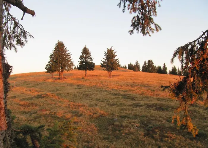 Ferienhaeuser Troester Apartament